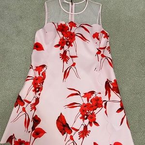 Ted Baker Cocktail Dress